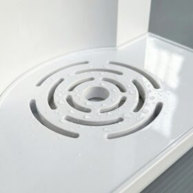 WhatsApp Image 2026-02-01 at 19.26