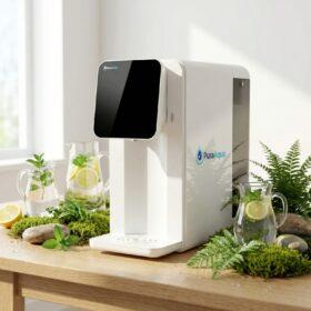 WhatsApp Image 2026-02-01 at 19.26